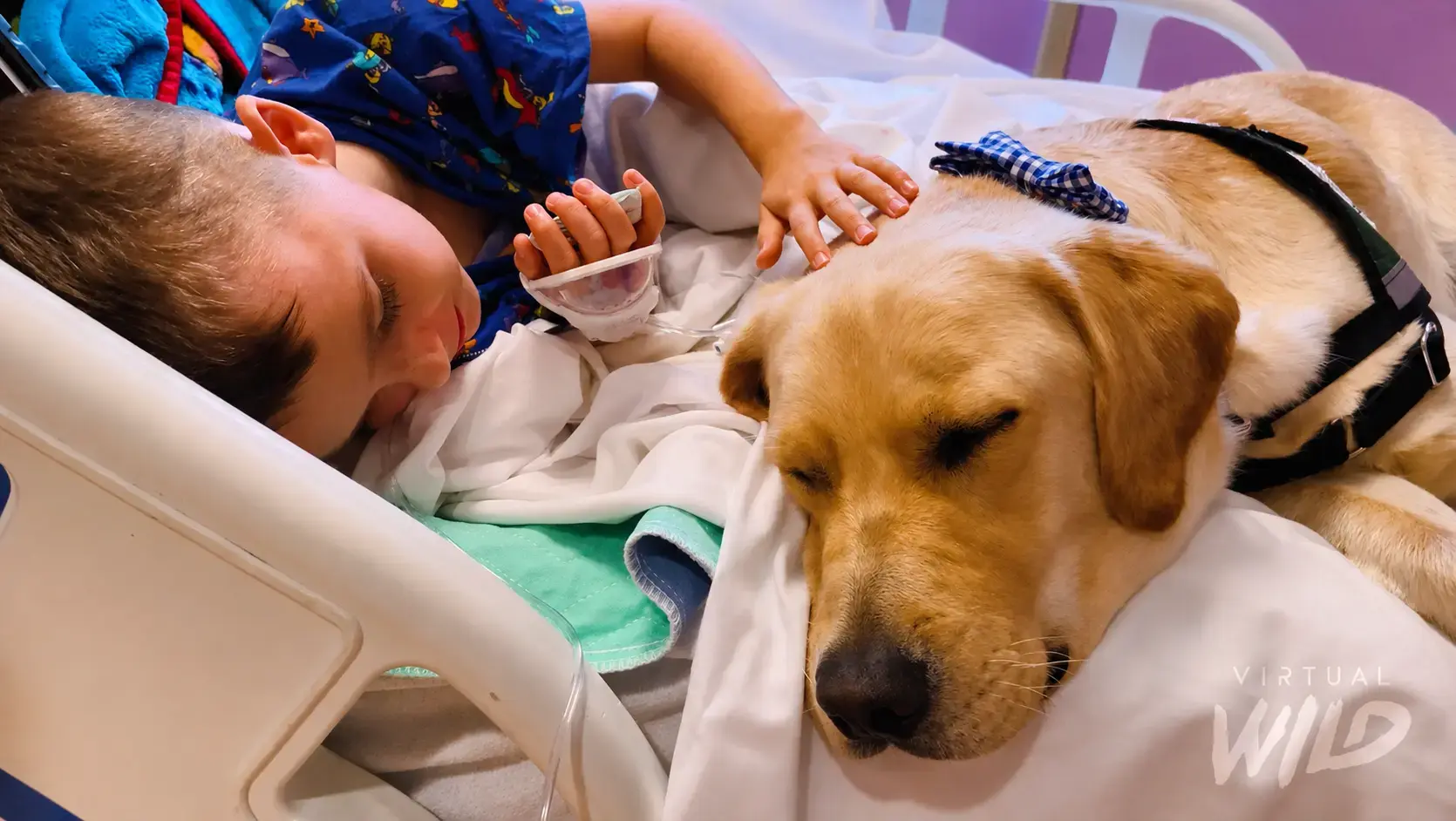 CHRISTUS therapy dog visiting a pediatric patient