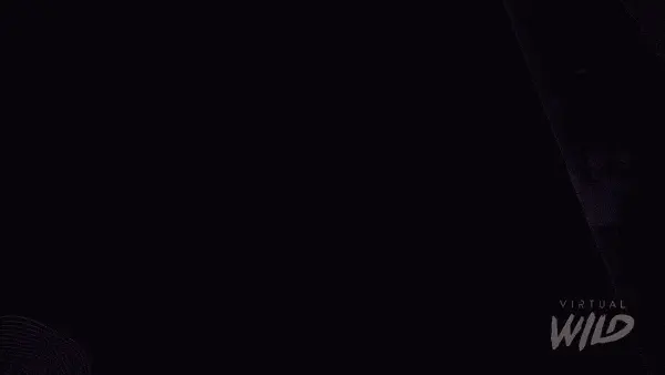 Animated Leidos digital-health hologram demonstration